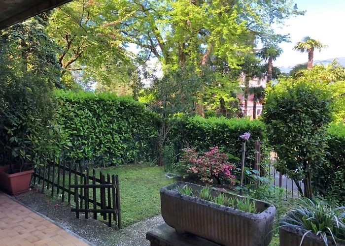 Cordelia 9 לואינו